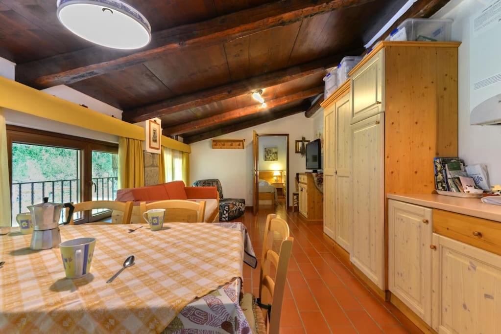 38-Volpini House In Amiata - Val D'Orcia, Saturnia, Feste&Sagre كاستل ديل بيانو المظهر الخارجي الصورة